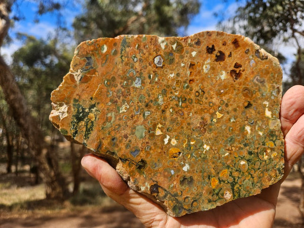 Polished Rainforest Jasper slab RFJ166