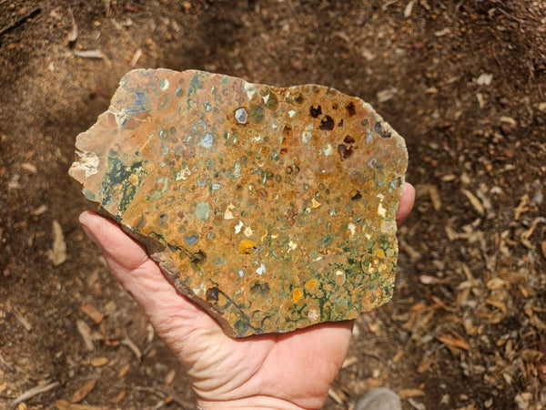 Polished Rainforest Jasper slab RFJ166