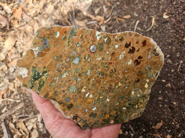 Polished Rainforest Jasper slab RFJ166