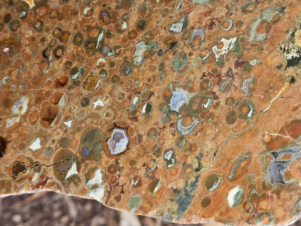 Polished Rainforest Jasper slab RFJ166