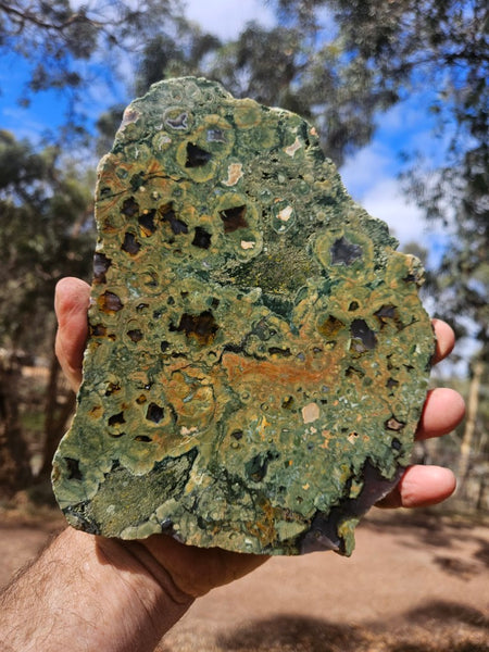 Polished Rainforest Jasper slab RFJ167