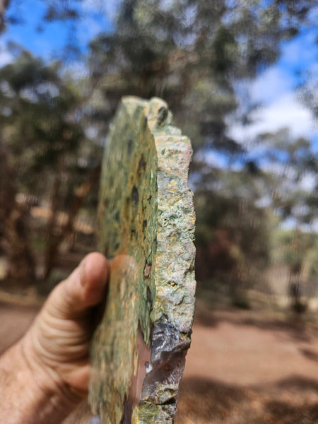 Polished Rainforest Jasper slab RFJ167