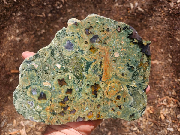 Polished Rainforest Jasper slab RFJ167