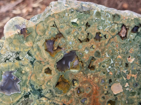 Polished Rainforest Jasper slab RFJ167
