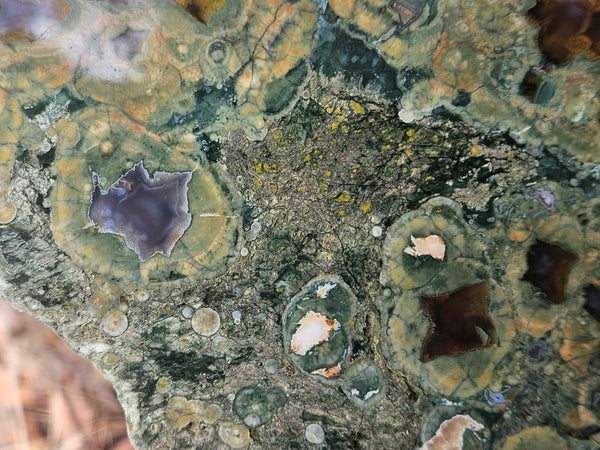 Polished Rainforest Jasper slab RFJ167