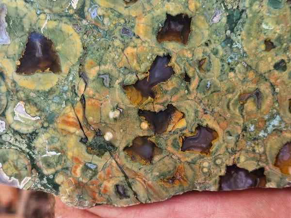 Polished Rainforest Jasper slab RFJ167