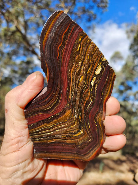 Polished Tiger Iron slab TI402