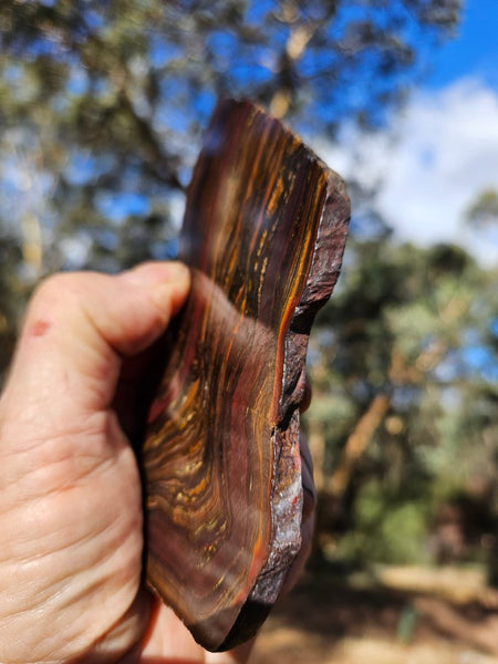 Polished Tiger Iron slab TI402