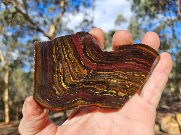 Polished Tiger Iron slab TI402
