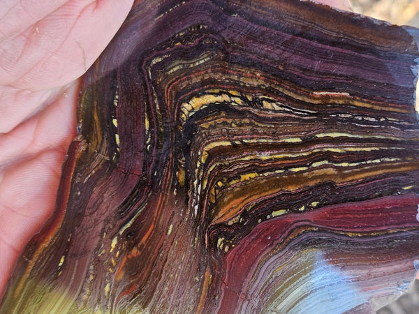Polished Tiger Iron slab TI402