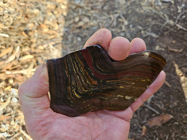 Polished Tiger Iron slab TI402
