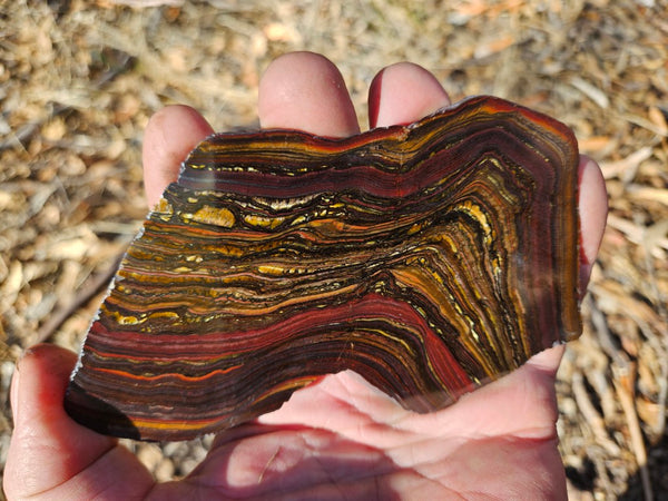 Polished Tiger Iron slab TI402