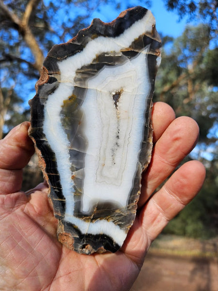 Polished Pilbara Agate slab PA220