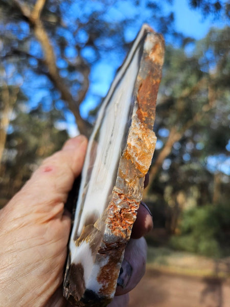 Polished Pilbara Agate slab PA220