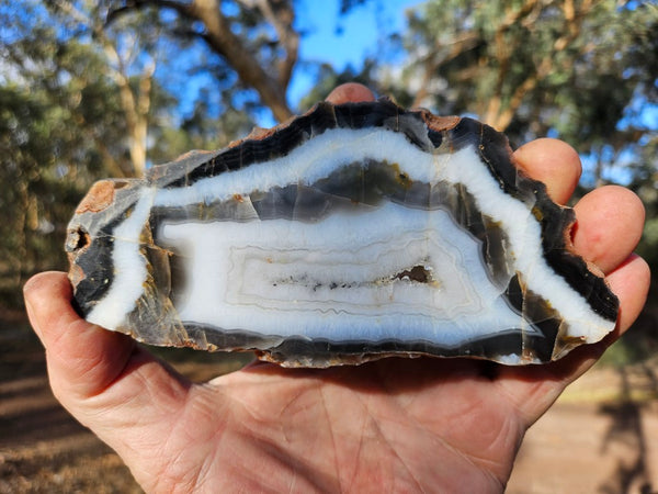 Polished Pilbara Agate slab PA220
