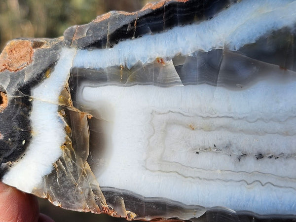 Polished Pilbara Agate slab PA220