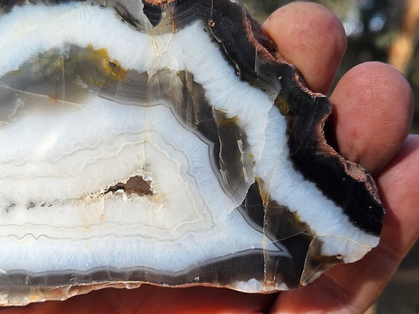 Polished Pilbara Agate slab PA220
