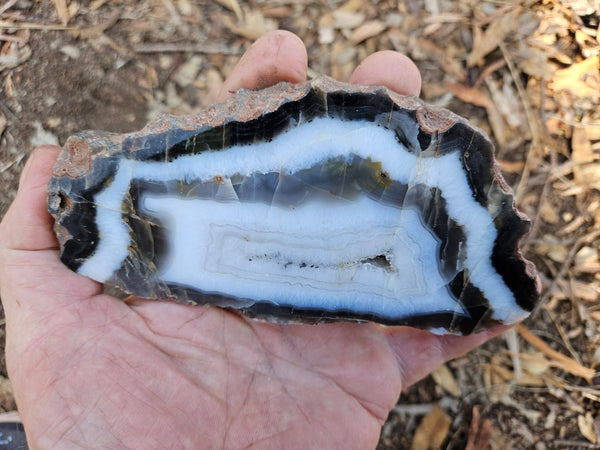 Polished Pilbara Agate slab PA220