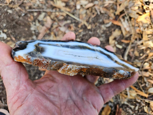 Polished Pilbara Agate slab PA220