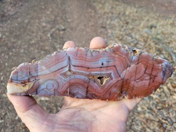 Polished Pilbara Agate PA223