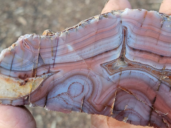 Polished Pilbara Agate PA223