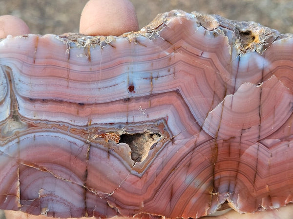 Polished Pilbara Agate PA223