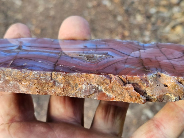 Polished Pilbara Agate PA223