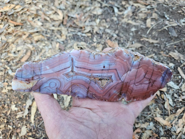 Polished Pilbara Agate PA223
