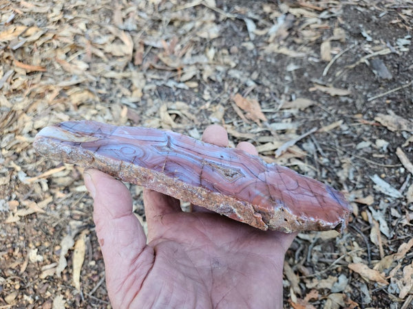Polished Pilbara Agate PA223