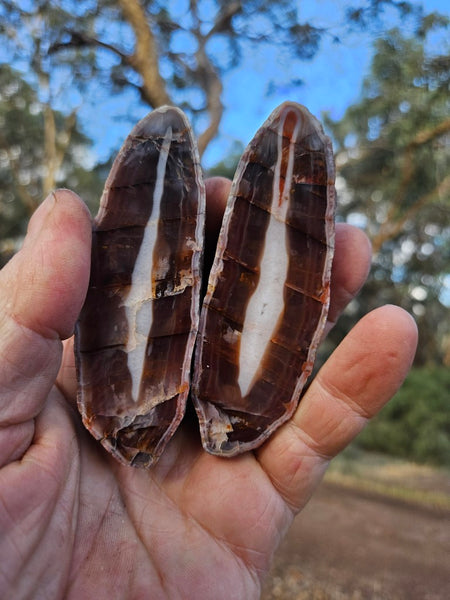 Polished Pilbara Agate pair PA226