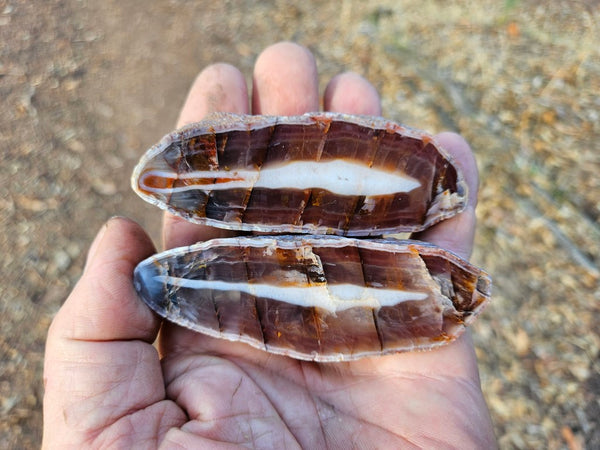 Polished Pilbara Agate pair PA226