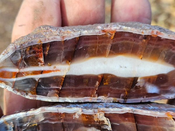 Polished Pilbara Agate pair PA226