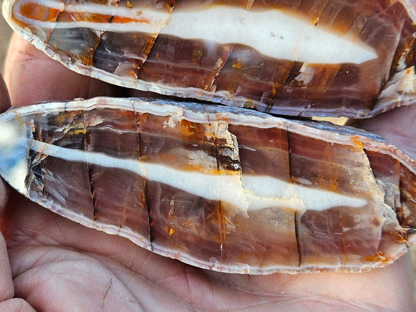 Polished Pilbara Agate pair PA226