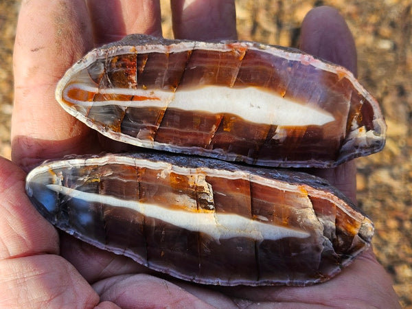 Polished Pilbara Agate pair PA226