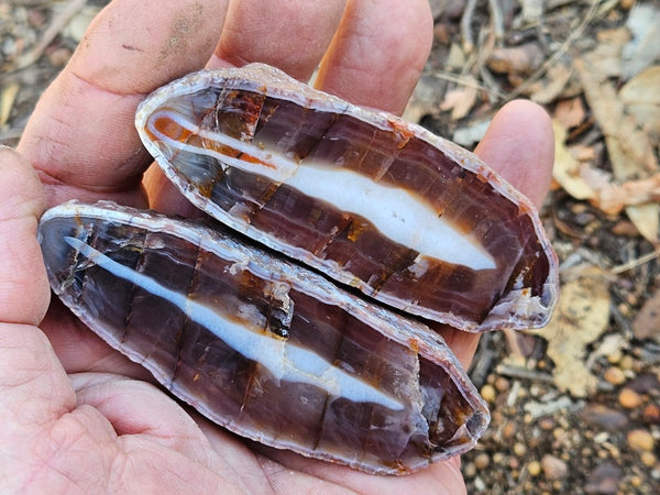 Polished Pilbara Agate pair PA226