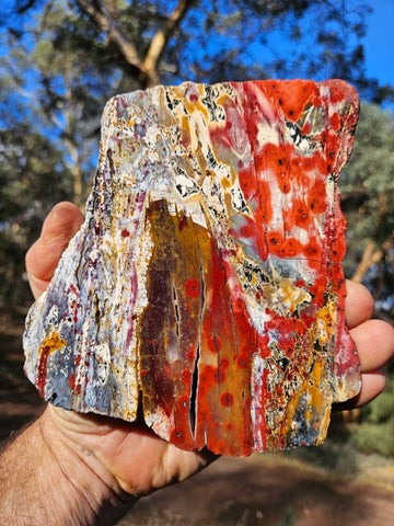 Polished Killaloe Opal slab KO137