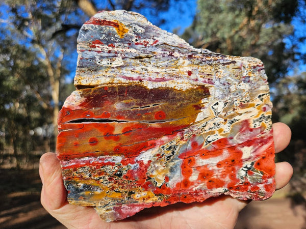 Polished Killaloe Opal slab KO137