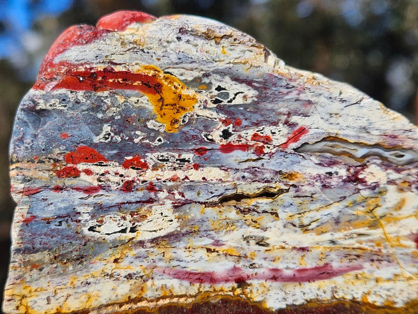 Polished Killaloe Opal slab KO137