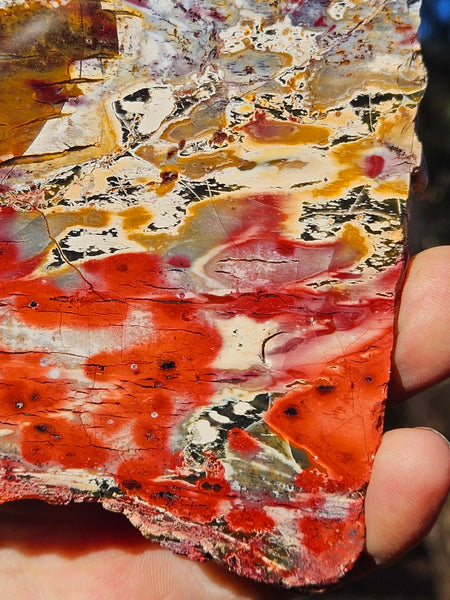Polished Killaloe Opal slab KO137