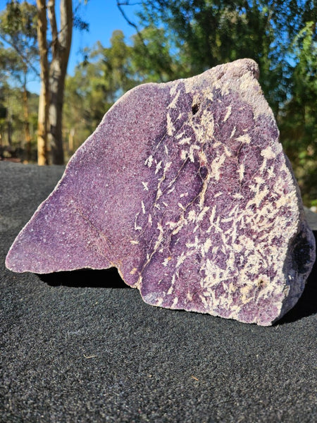 Polished Lepidolite  LEP237