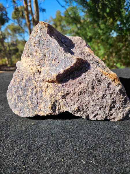 Polished Lepidolite  LEP237
