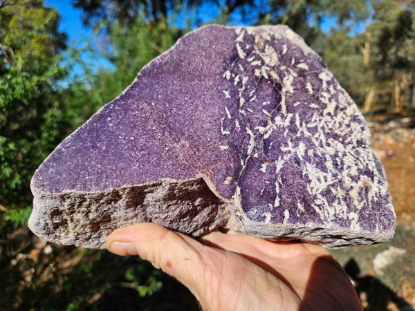 Polished Lepidolite  LEP237