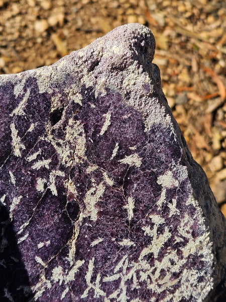 Polished Lepidolite  LEP237
