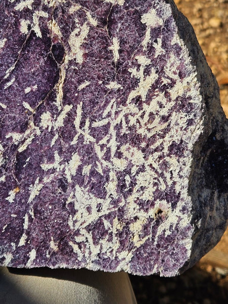 Polished Lepidolite  LEP237