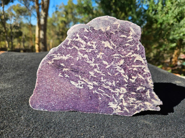Polished Lepidolite  LEP238