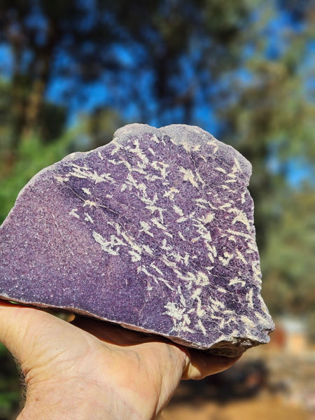 Polished Lepidolite  LEP238