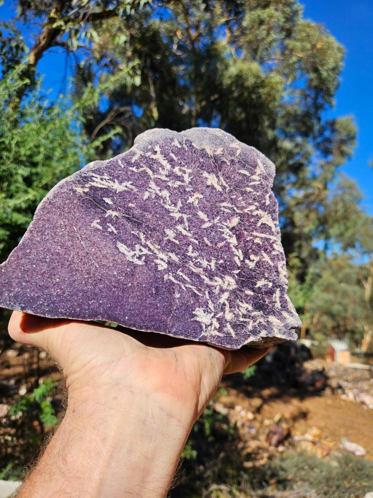 Polished Lepidolite  LEP238