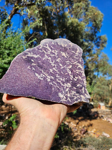 Polished Lepidolite  LEP238