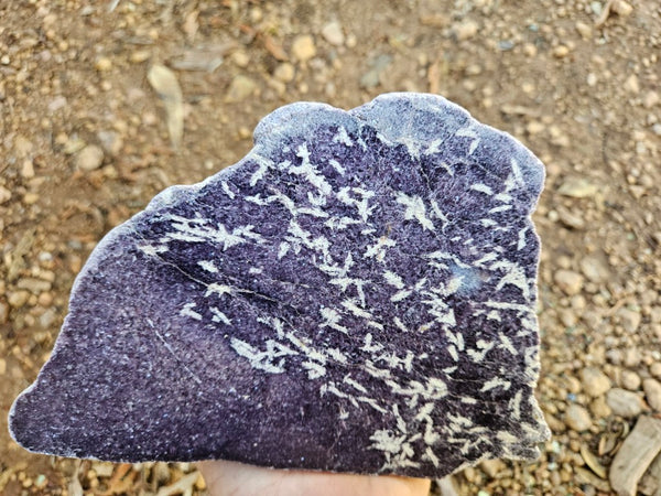 Polished Lepidolite  LEP238
