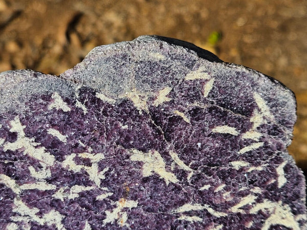 Polished Lepidolite  LEP238